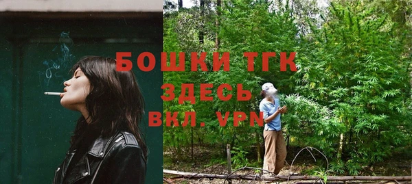 скорость Павловск