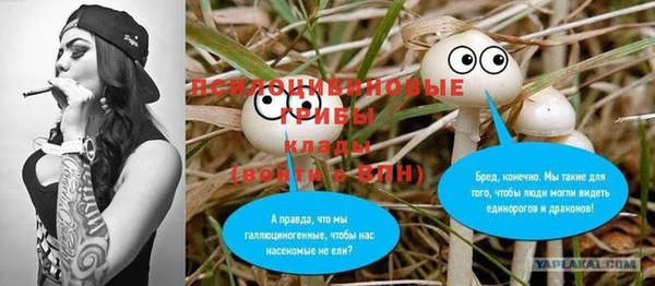 альфа пвп Краснослободск