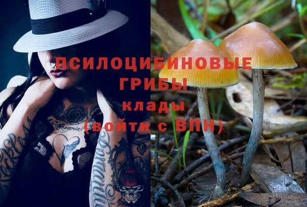 трава Кулебаки